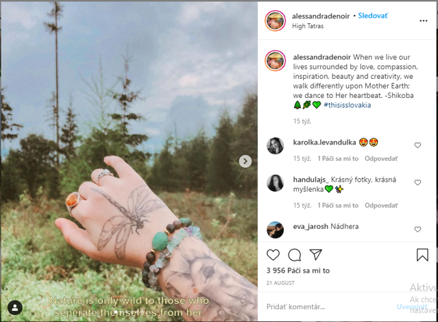 Obr. 1: Osobný profil AllessandraDenoir na Instagrame